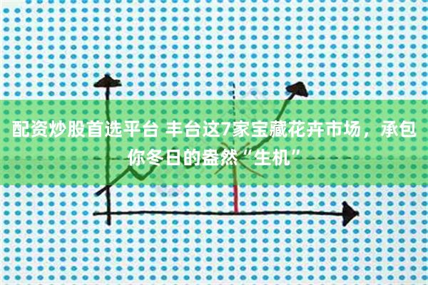 配资炒股首选平台 丰台这7家宝藏花卉市场,承包你冬日的盎然“生机”